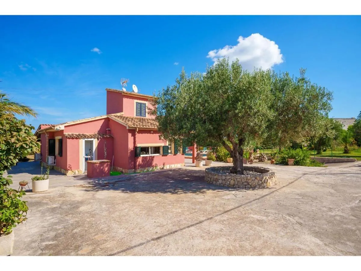 Holiday Home Sa Olivera - Alc160 By Interhome Alcudia  Spain