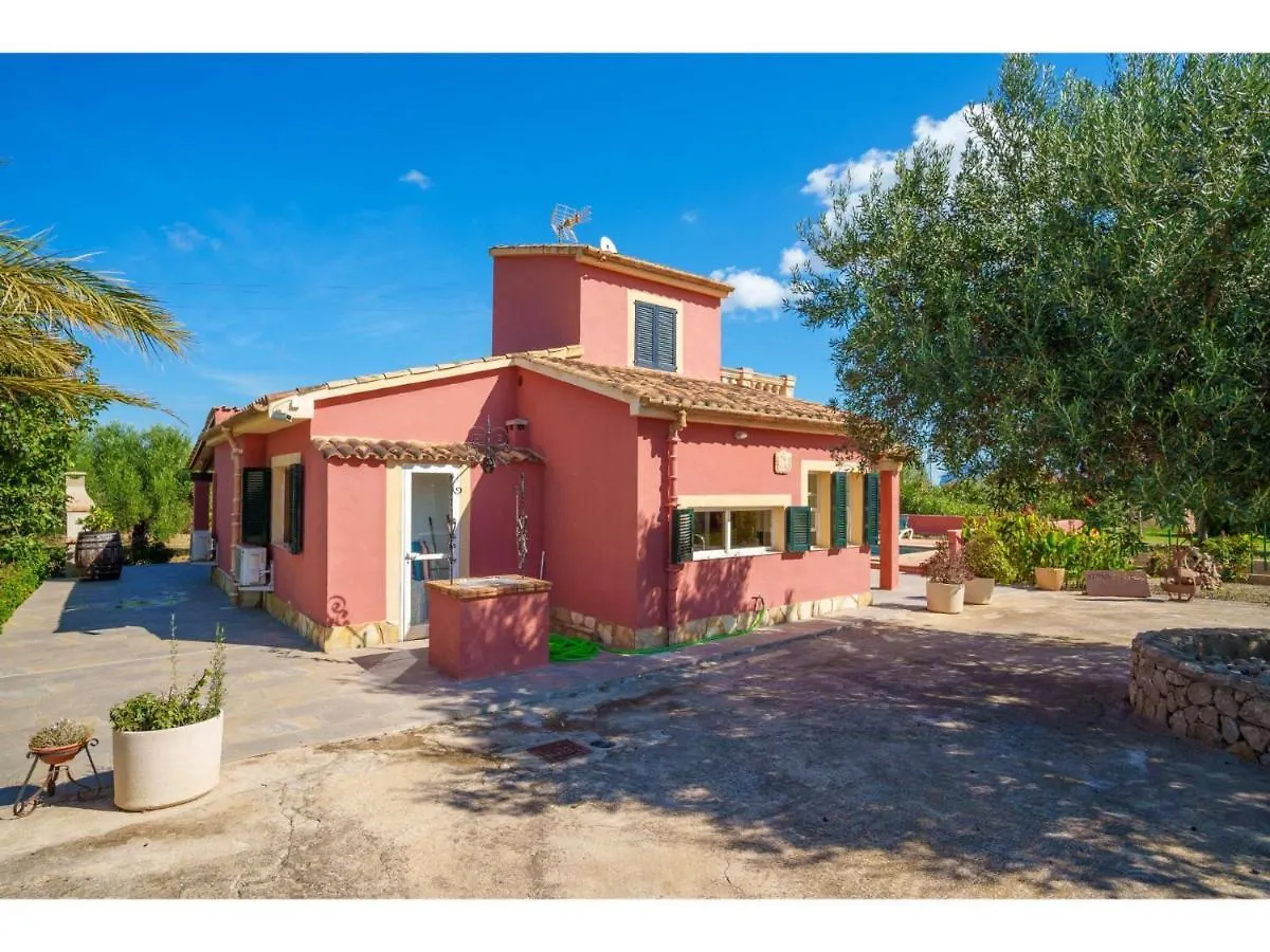 Holiday Home Sa Olivera - Alc160 By Interhome Alcudia  Alcudia (Mallorca)
